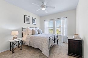 Arlington apartment for rent - Gorgeous Bedroom at Mariposa at Harris Road Arlington 55+ Apartments, Texas, 76001