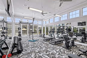 Waxahachie apartment for rent - a gym with weights and cardio equipment and windows at Five 49 at River Oaks, Texas
