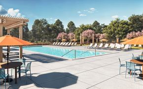 Austin apartment for rent - A pool area with chairs and umbrellas on a sunny day at Sage at Franklin Park Apartment , Texas