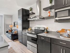 Phoenix apartment for rent - Flatz 602 furnished model kitchen, stainless steel appliances, ceiling lighting, hard wood floors