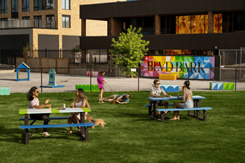 Onsite dog park - blvdbark