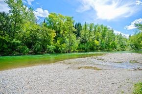 Calgary apartment for rent - A river flows through a forest with a rocky shore.