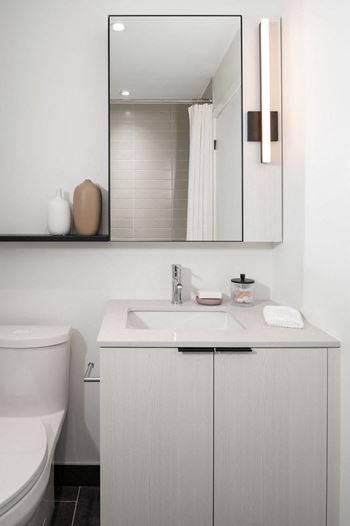 Full height mirror with integrated vanity light and shelf