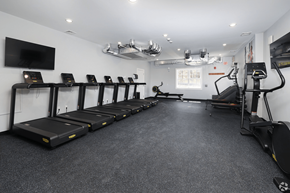 Swanzey apartment for rent - A gym with treadmills and a television on the wall.