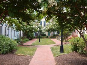 Washington apartment for rent - A pathway with a grassy area on either side and a building in the background.