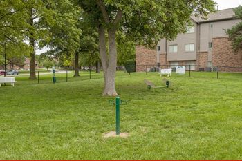 Dog park