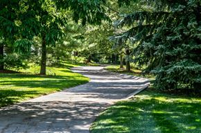 Omaha apartment for rent - a path through a park with trees