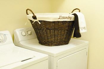 Laundry facilities in every building