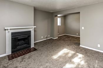 Wood-burning fireplace