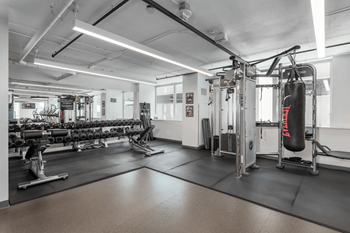 A gym with a punching bag and weightlifting equipment.