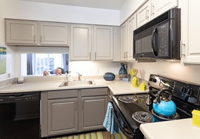 Saint Louis apartment for rent - A kitchen with a black microwave above a black stove.