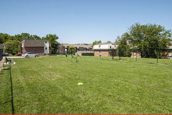 Dog park