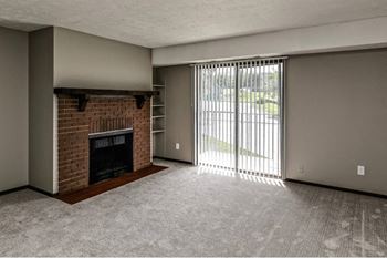 Wood-burning fireplace*