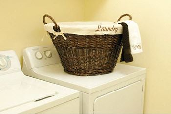 Laundry facilities on every floor