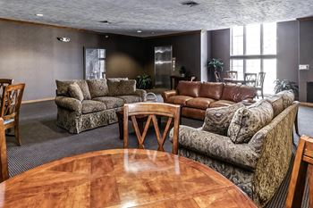 Gas fireplace