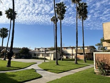 Gardena apartment for rent - Palm trees line a path in front of a building.