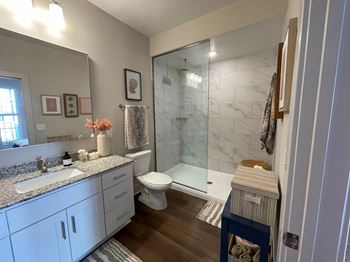 Bathroom with walk-in shower