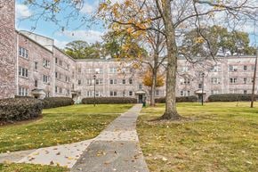 Raleigh apartment for rent - A tree with yellow leaves stands in front of a brick building.