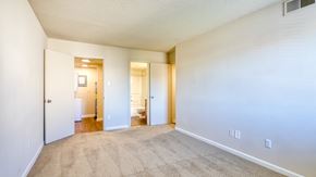 Ashland apartment for rent - the living room and bedroom of an apartment with carpeting and white walls