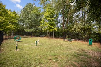 Off-leash bark park