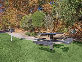 Outdoor picnic & grilling area