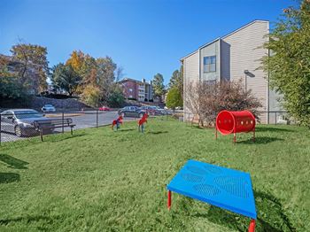 Fenced dog bark park