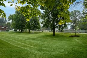 Columbus apartment for rent - A tree with yellow leaves stands in a grassy field.