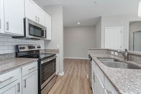 Fort Mill apartment for rent - Fully Furnished Kitchen at The Greens at Fort Mill, South Carolina