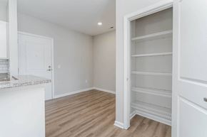 Fort Mill apartment for rent - Closet View at The Greens at Fort Mill, Fort Mill