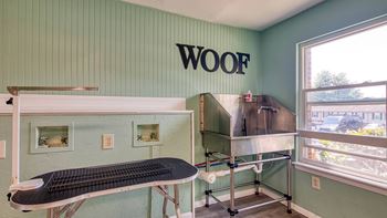 Pet spa