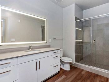 Frameless glass walk-in shower