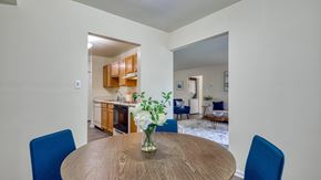 Yorktown apartment for rent - a dining room table with two blue chairs and a vase of flowers