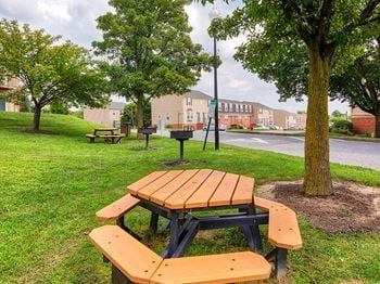 Peaceful picnic and grilling area