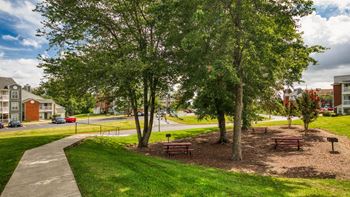 Sidewalk through park