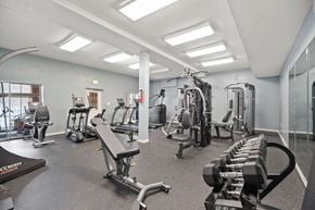 Rock Hill apartment for rent - A gym with a variety of equipment including treadmills, weights, and exercise machines.