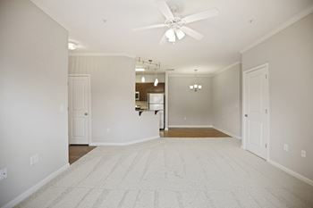 Ceiling fans