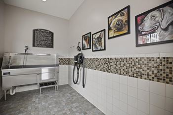 Self-service indoor pet spa