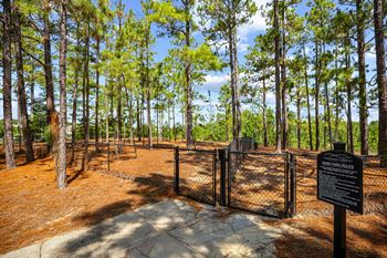Fenced, leash-free one-acre bark park