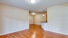 Forest apartment for rent - an empty living room with white walls and wood floors