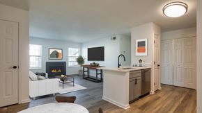 Virginia Beach apartment for rent - A modern living room with a fireplace and a television.
