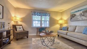 Norfolk apartment for rent - a living room with a couch chair and coffee table
