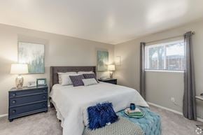 Newport News apartment for rent - A bedroom with a large bed, a nightstand with a lamp, and a window with curtains.