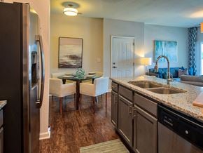 Virginia Beach apartment for rent - Gourmet Kitchen at The Choices Apartments