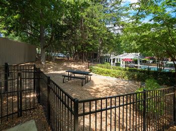 Pet play area