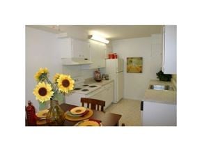Raleigh apartment for rent - Brentwood West Apartments in Raleigh  Kitchen