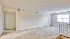 Virginia Beach apartment for rent - A spacious room with a carpeted floor and a window with white blinds.