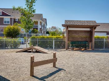 Dog park pavilion-village-apartments---charlotte-nc
