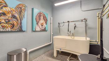 Pet spa