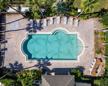 Orlando apartment for rent - An aerial view of a swimming pool surrounded by palm trees and lounge chairs.