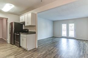 Wilmington apartment for rent - Apartment Kitchen and Living Room